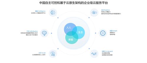 上海金蝶kis商貿(mào)版軟件安裝