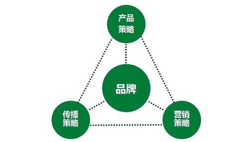 一家傳統(tǒng)企業(yè)的互聯(lián)網轉型之路丨國人在線 軟件服務