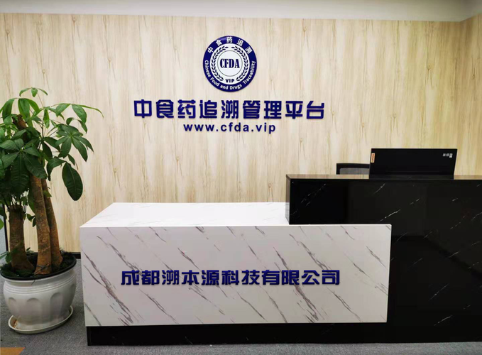 賦能未來 聚焦信息技術(shù)與計算機技術(shù)服務(wù)的新紀(jì)元